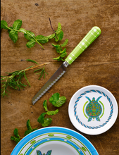 Load image into Gallery viewer, Turtle Set of 4 Melamine Coasters